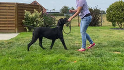 240653202_10209112763491503_5013885826231477230_n