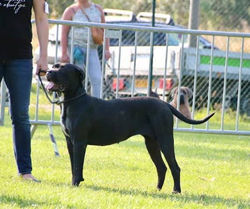 241624519_10209147402197449_5140014100923341060_n