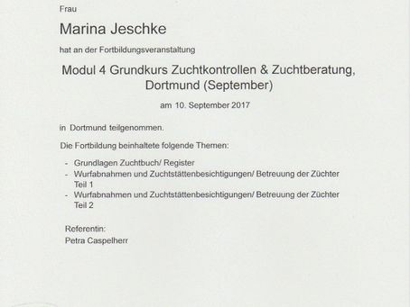 Grundstein gelegt!
