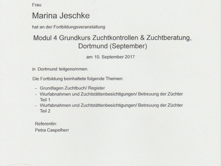 Grundstein gelegt!