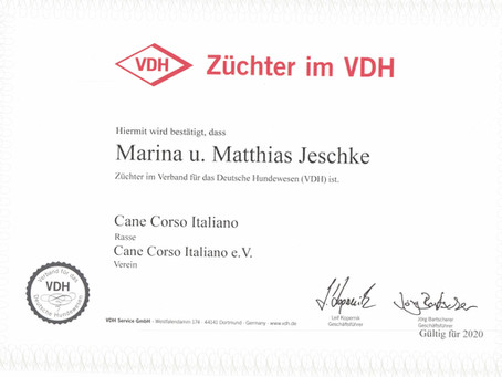 Die VDH Züchter-Urkunde ist da :-)