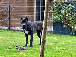 254679767_10209305348346004_7998815798895459366_n