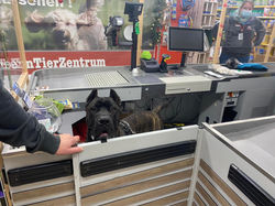 260988241_10209354706339923_366728543183999784_n