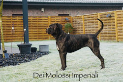 78682752_2444475162461296_1535885875622182912_n