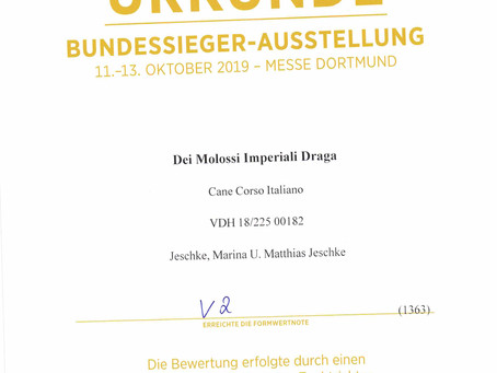 Ein paar Erfolge !!!