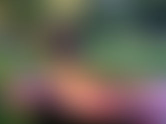 MV Shrimp and Crab Boil.. what a delight by Chef Lori