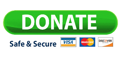 DonateSafeSecureGif.gif