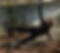 IMG_3492.jpeg