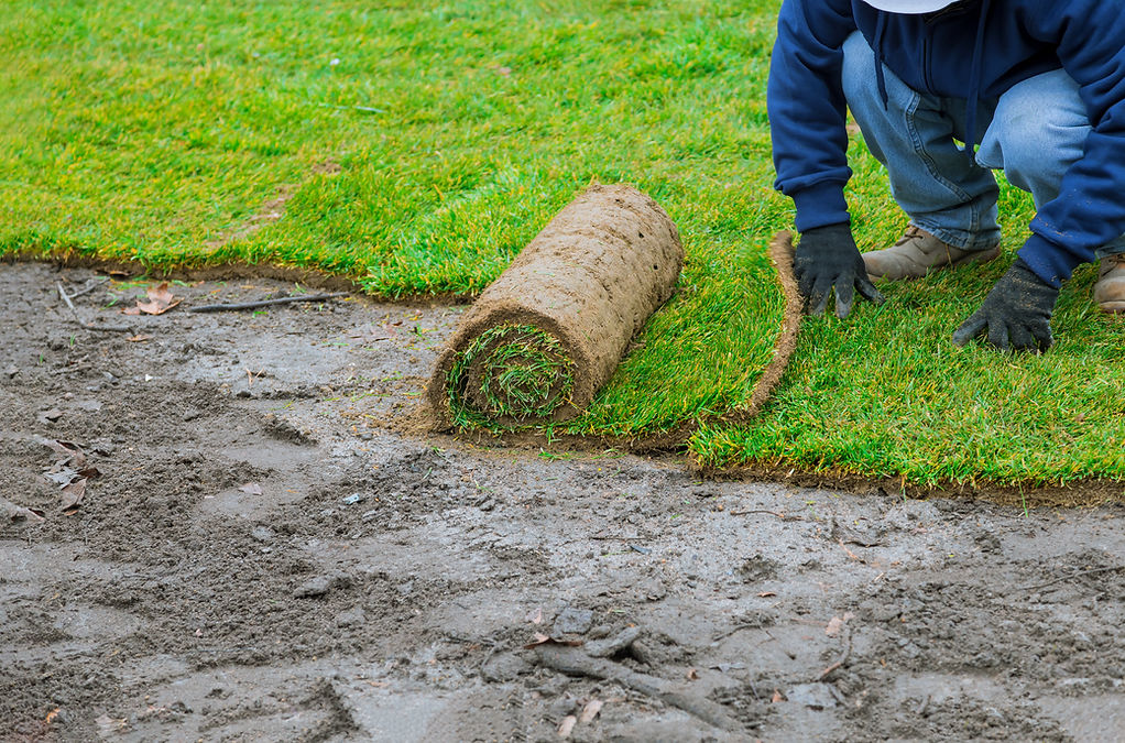 man-laying-grass-turf-rolls-new-garden-lawn.jpg