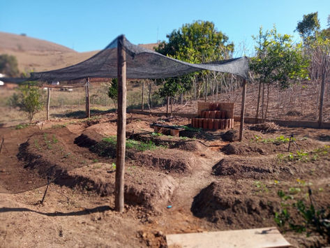 Implantação de hortas circulares fortalece agricultura sustentável em MG