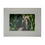 Thumbnail: An artistic print of a bamboo water tape in a white frame