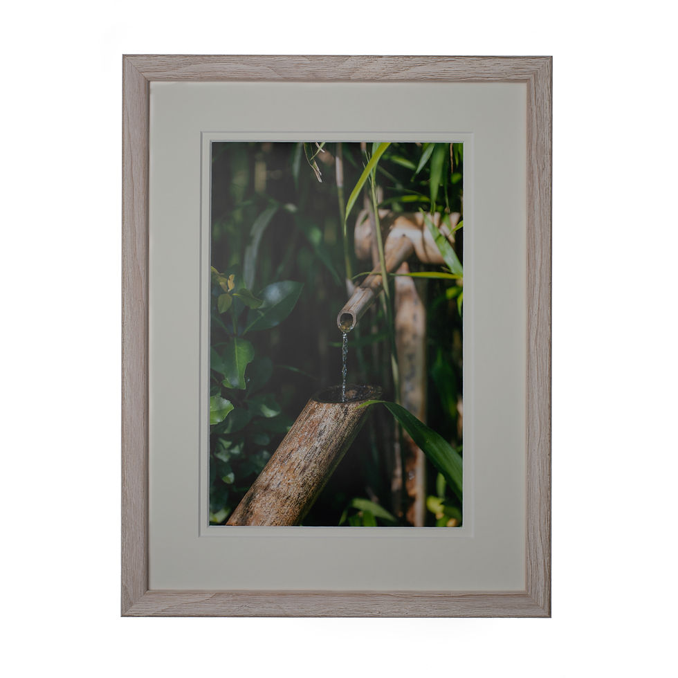Thumbnail: A artistic portrait print of a bamboo water tape in a wood taupe frame