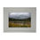 Thumbnail: An image of the reeds in front of the lost lake, as the cloud dramatic coming in, with a white fame