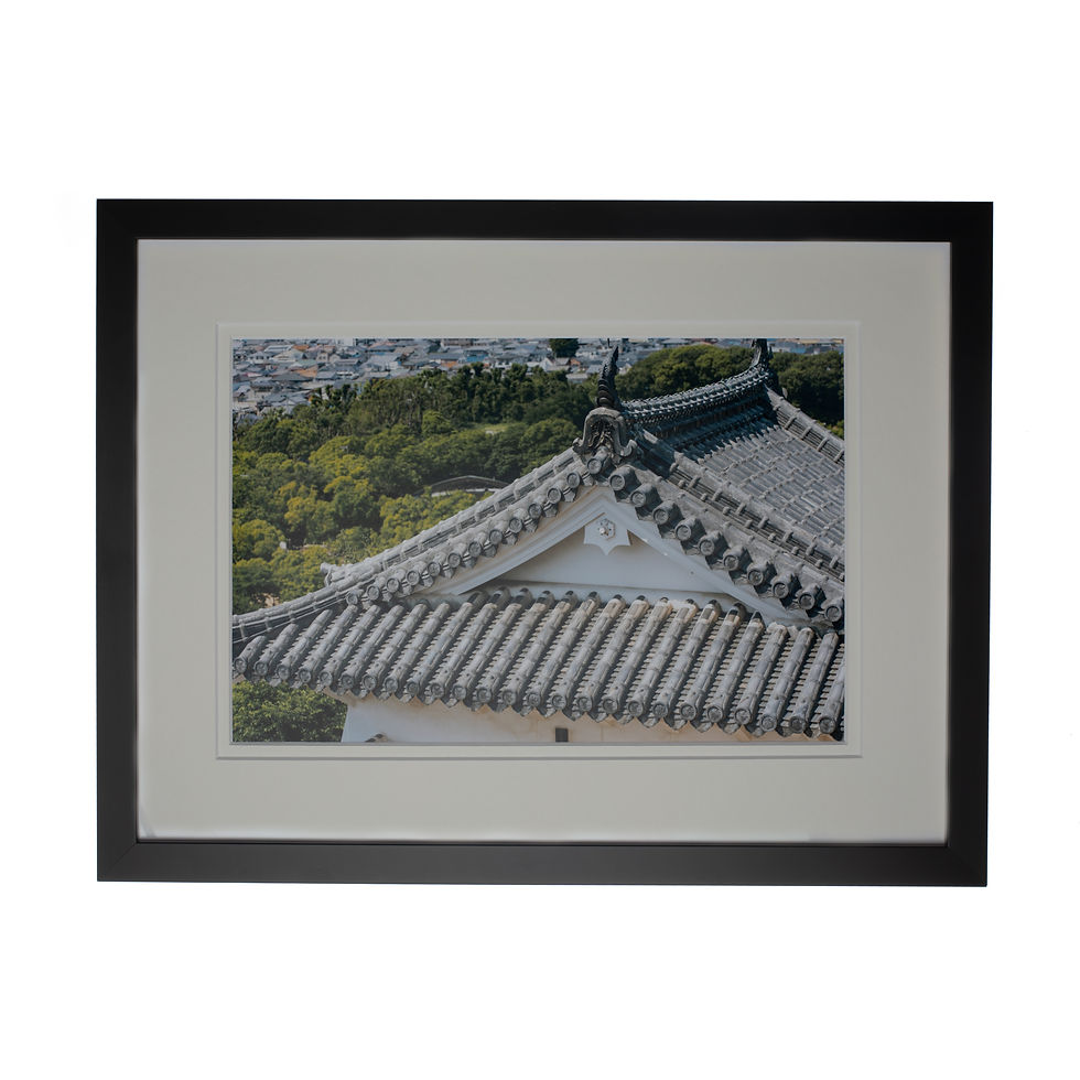 A print of the roof of Himeji castle with a black frame