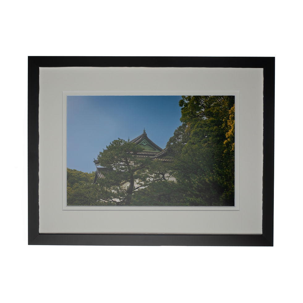 Artistically photographed wall art print of the Japanese Imperial Palace viewed through the trees with a black frame