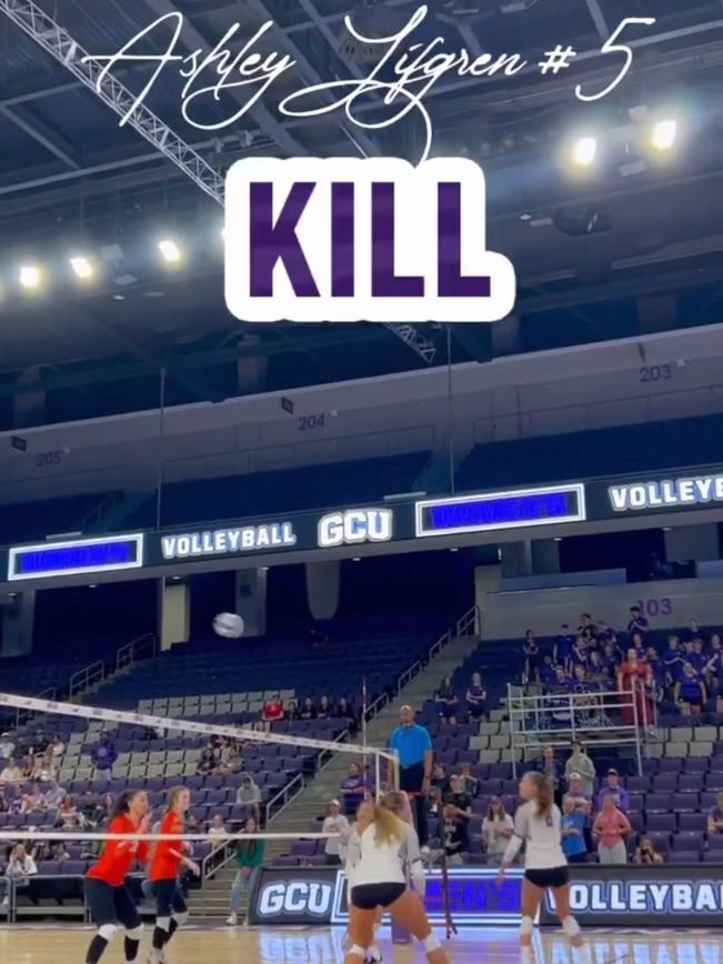 WVB Stories
