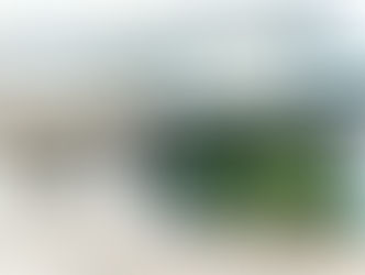 今年のグリーンカーテンは沖縄ゴーヤと、ミニトマト！