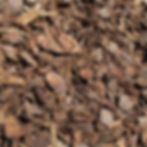 PINE BARK