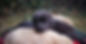 received_160326739241342_edited.jpg