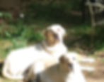 20180709_085416_edited_edited.jpg