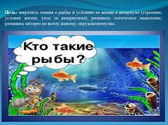 Слайд1.JPG
