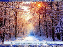 Слайд5.JPG