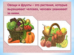 Слайд2.JPG