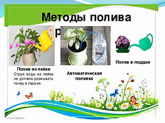 Слайд5.JPG