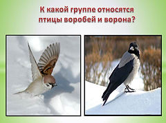 Слайд12.JPG