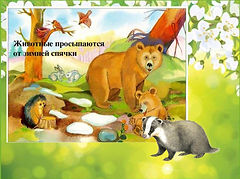 Слайд6.JPG