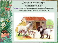 Слайд14.JPG