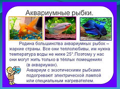 Слайд29.JPG