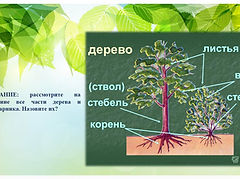 Слайд2.JPG
