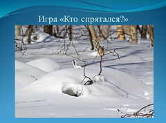 Слайд13.JPG