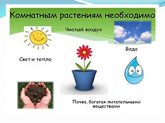 Слайд2.JPG