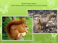 Слайд7.JPG