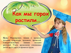 Слайд1.JPG