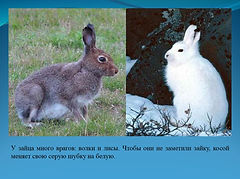 Слайд5.JPG