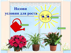 Слайд12.JPG