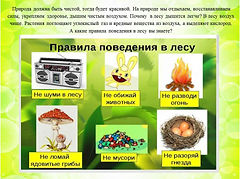 Слайд9.JPG