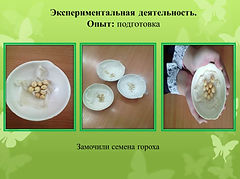 Слайд2.JPG