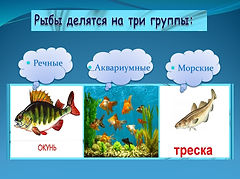 Слайд6.JPG