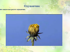 Слайд8.JPG