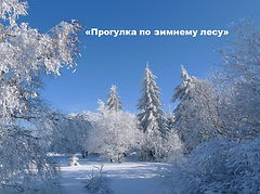 Слайд1.JPG