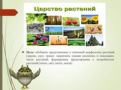 Слайд2.JPG