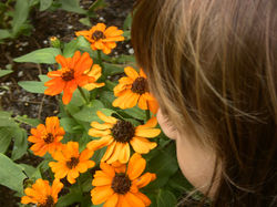 Аромат цветов