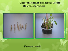 Слайд5.JPG