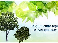 Слайд1.JPG