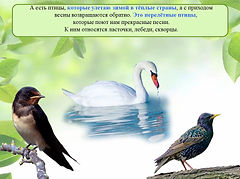 Слайд7.JPG