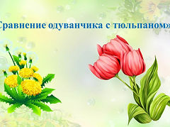Слайд1.JPG